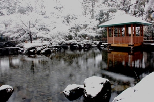 大田黒公園記念館　冬の写真
