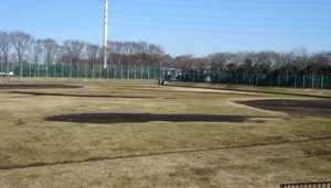 写真：和田堀公園野球場