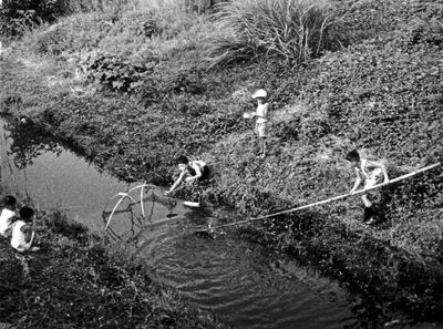 写真：昭和30年代、上井草3-18付近、井草川で遊ぶ子どもたちの白黒写真