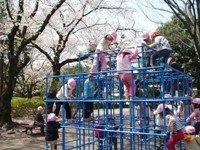 写真：春の善福寺公園散歩