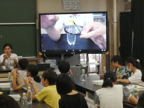 コイルを作る教師の手元を観察する子どもたちの写真