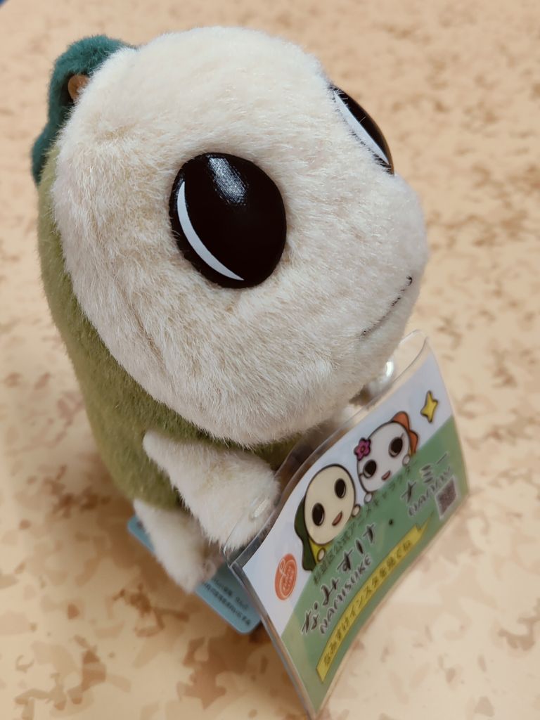 ぬいぐるみの写真