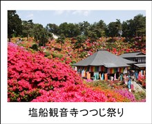 写真：塩船観音寺つつじ祭り