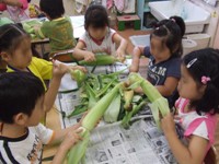 写真：食育の一環でとうもろこしの皮むき
