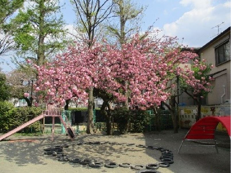 和泉2