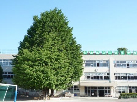写真：三谷小学校の様子