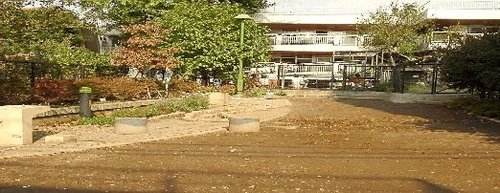 写真：阿佐谷こぶし緑地