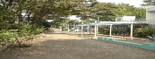写真：阿佐谷中央公園