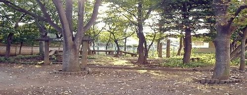 写真：正保公園