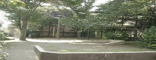 写真：柿木公園