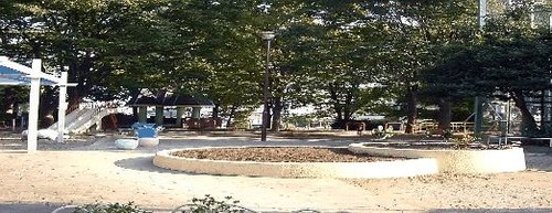 写真：久我山公園