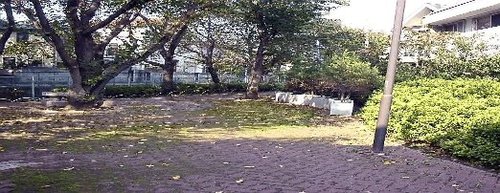 写真：緑橋緑地