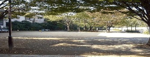 写真：久我山中央緑地