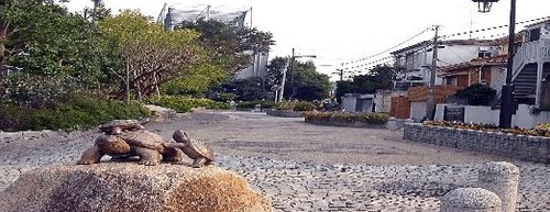 写真：桃園川緑道