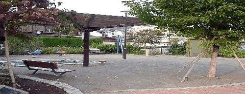 写真：向井東公園