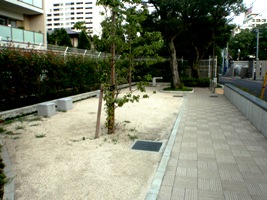 写真：高井戸丸太緑地