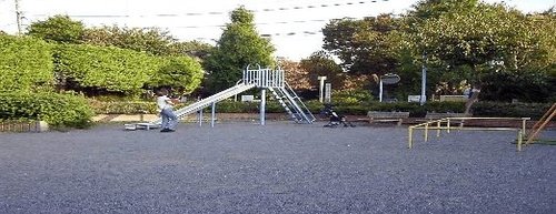 写真：桐の木公園