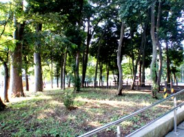 写真：成田西切通し緑地