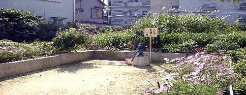 写真：おぎ緑地
