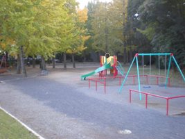 写真：済美公園