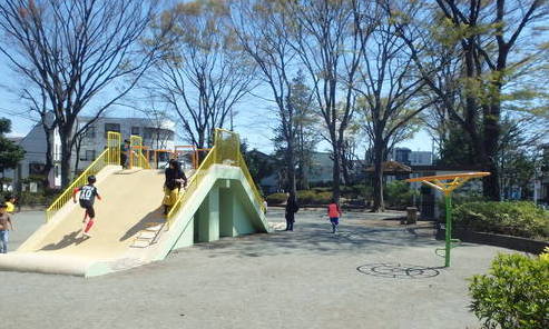 写真：浜田山公園