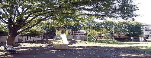 写真：浜田山南公園