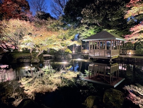 紅葉ライトアップの写真