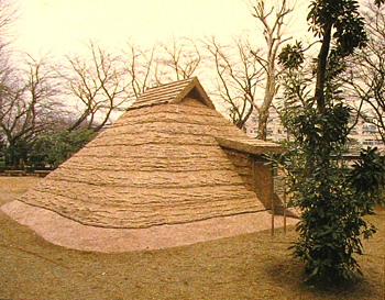 写真：古墳時代後期の住居址の復原住居外観全体の様子