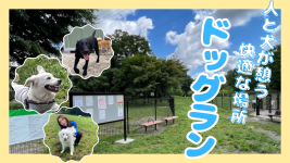 7月15日号サムネイル