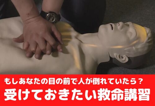 救命講習用の人形