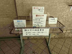 鯉のエサの写真